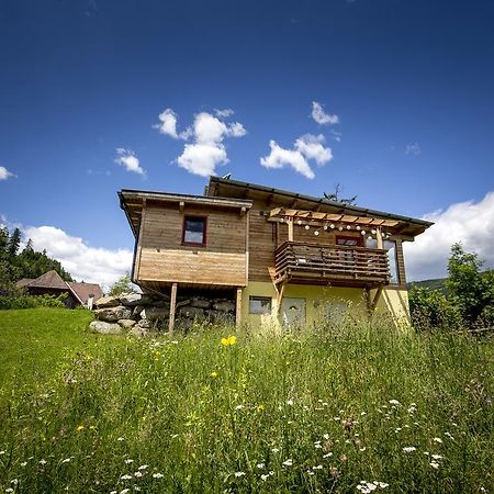 Gaestehaus Biobauernhof Mandl Murau Ngoại thất bức ảnh